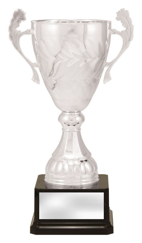 X3695 Eternal Cup Silver 33.5cm