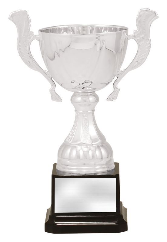 X3746 Cup Silver Turin 20cm