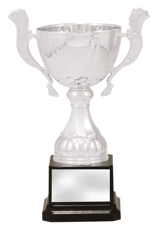 X3746 Cup Silver Turin 20cm