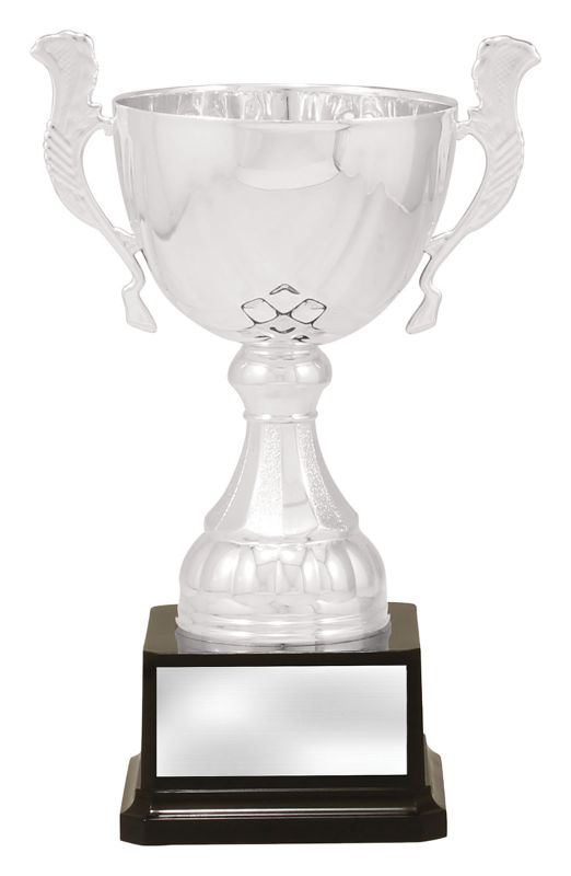 X3747 Cup Silver Turin 23cm