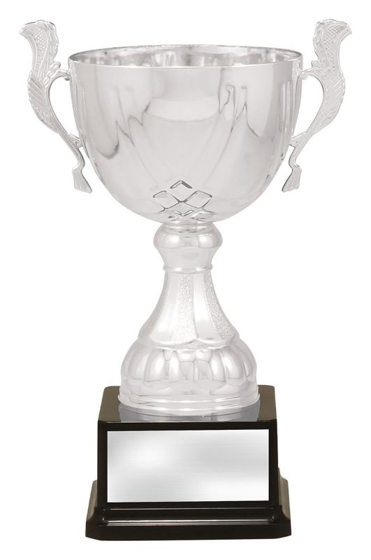 X3748 Cup Silver Turin 26cm