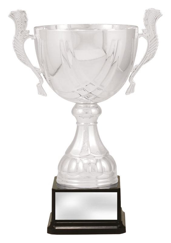 X3749 Cup Silver Turin 29cm