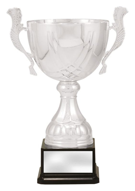 X3749 Cup Silver Turin 29cm