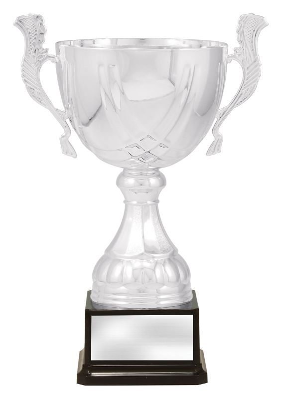 X3750 Cup Silver Turin 33cm