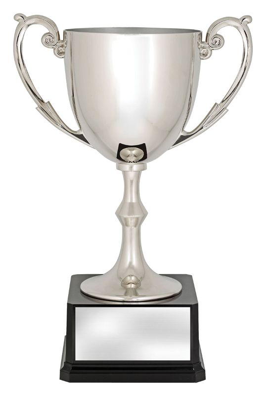 X3778 Recognition Cup 36cm