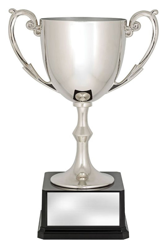 X3778 Recognition Cup 36cm