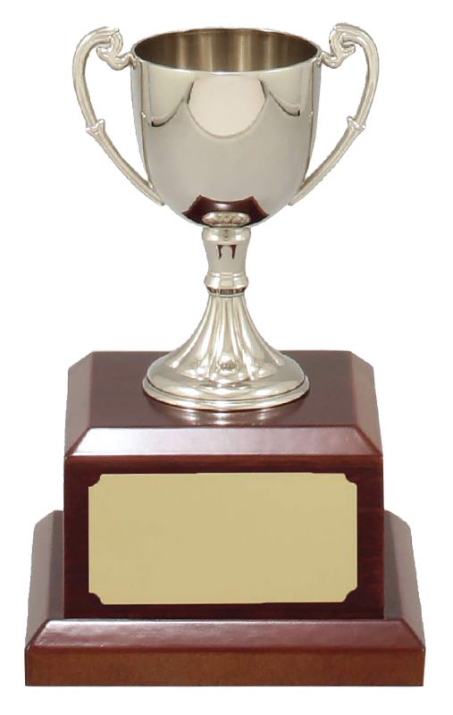X3779 Classic Nickle Plated Cup 16cm
