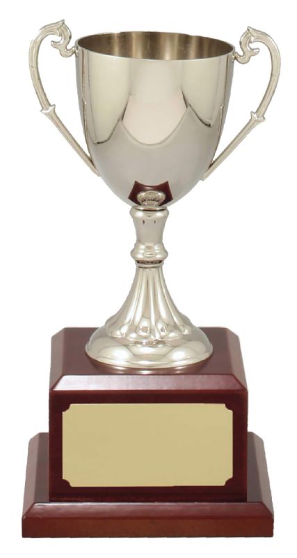 X3780 Classic Nickle Plated Cup 24cm