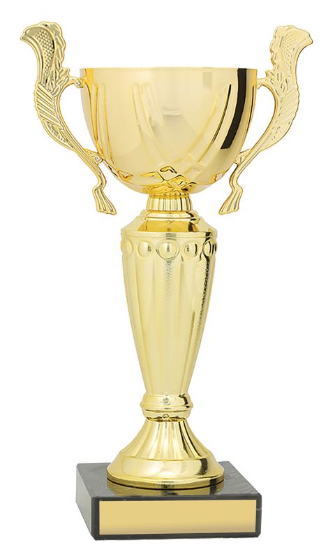 X3799 Geneva Cup 22.5cm