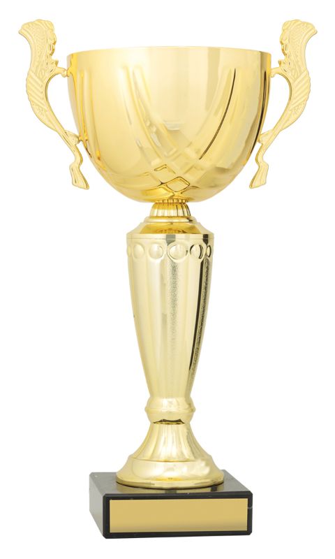 X3802 Geneva Cup 34cm