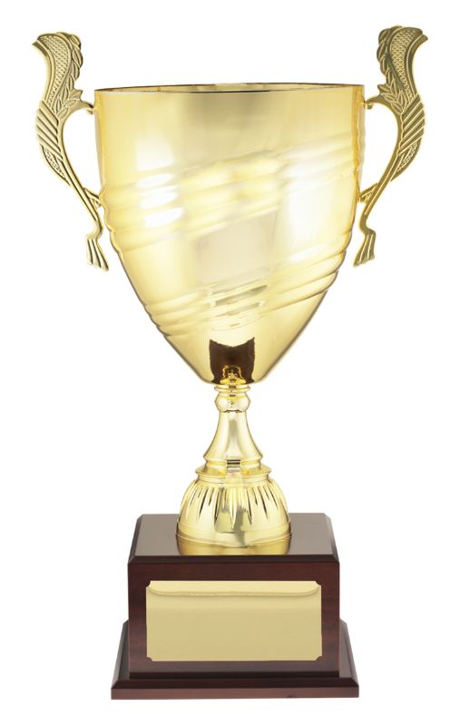 X3823 Value Prestige Gold Cup 36cm