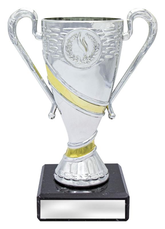 X4226 Achievement Revel - Silver 14.5cm
