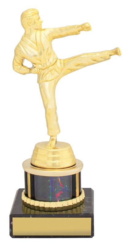 X4330 Martial Arts Black Dazzle 17.5cm