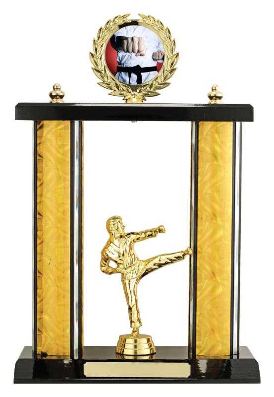 X4335 Martial Arts Poster Set 32cm