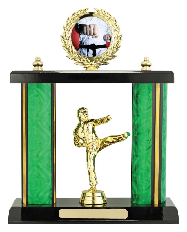 X4336 Martial Arts Poster Set 27cm