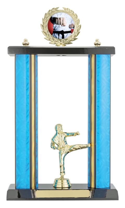 X4338 Martial Arts Poster Set 37cm