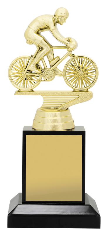 X4404 Cycling Timber Podium 17.5cm