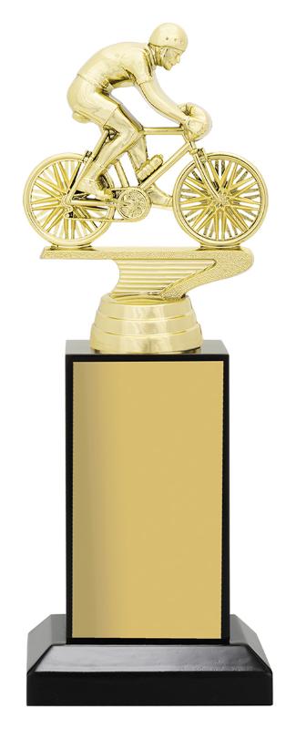 X4405 Cycling Timber Podium 20.5cm