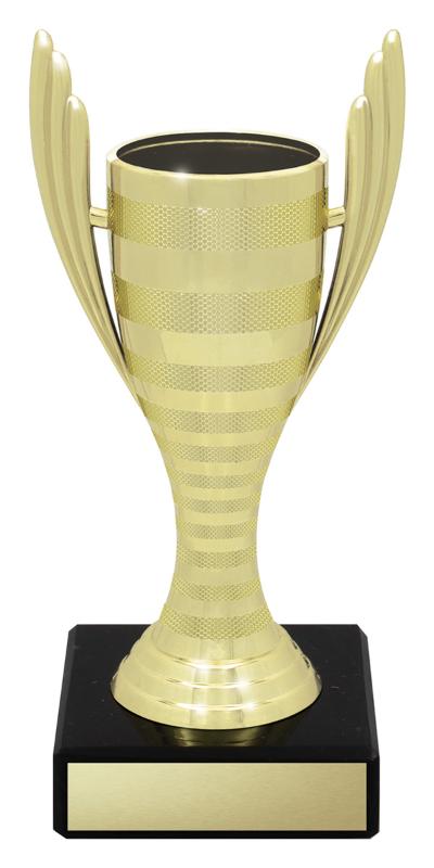 X4683 Achievement Guardian Cups 16cm