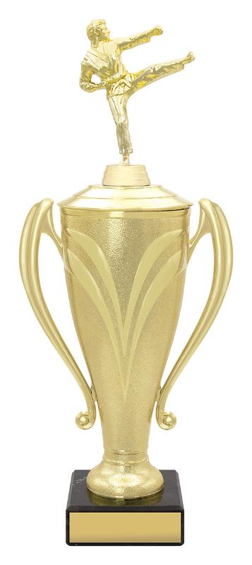 X4696 Martial Arts Champion Cups 38.5cm