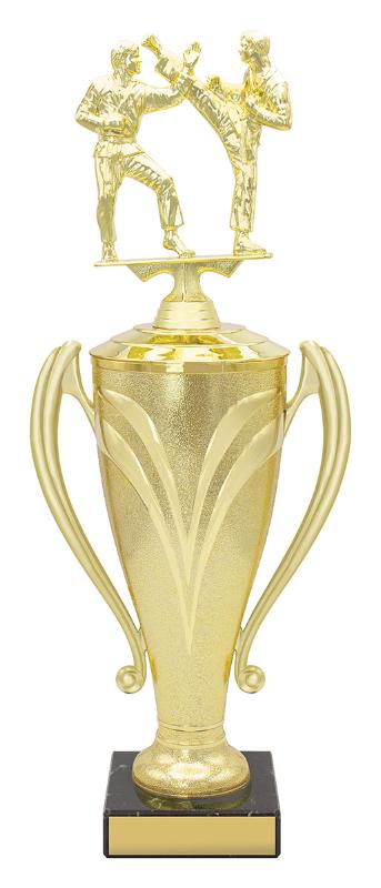 X4697 Martial Arts Champion Cups 46cm