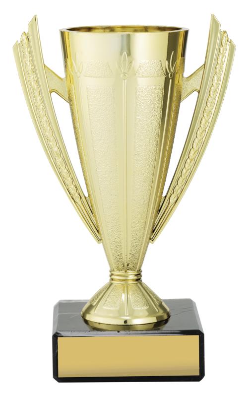 X4718 Budget Gold 13cm