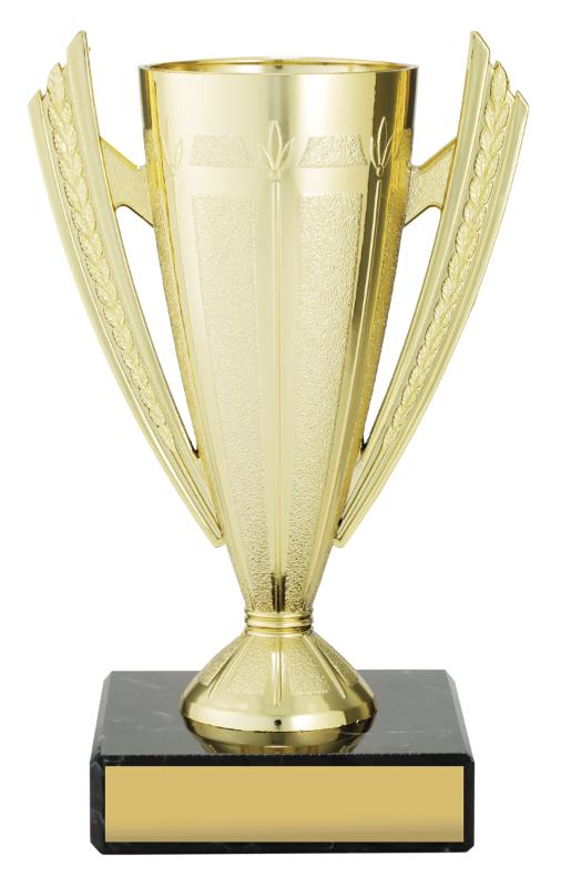 X4719 Budget Gold 16cm