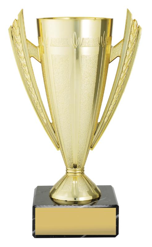 X4720 Budget Gold 19.5cm