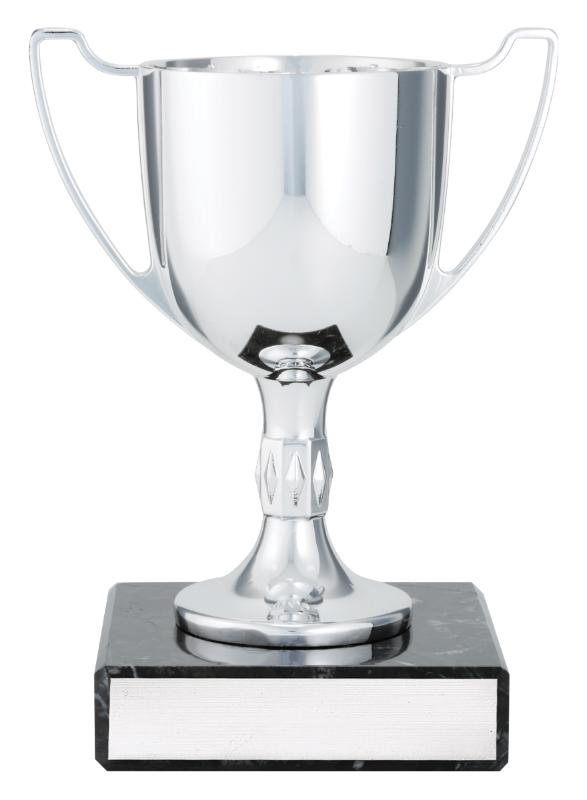 X4784 Cast Cup 13.5cm