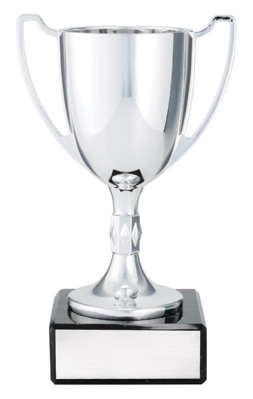 X4785 Cast Cup 17.5cm