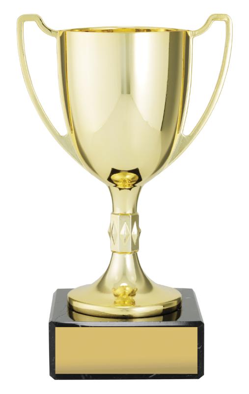 X4788 Cast Cup 17.5cm