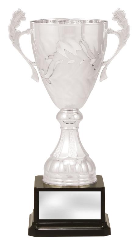 X4822 Silver Eternal Cups 26.5cm