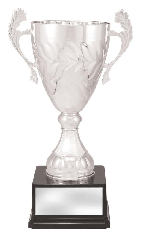 X4826 Silver Eternal Cups 44cm