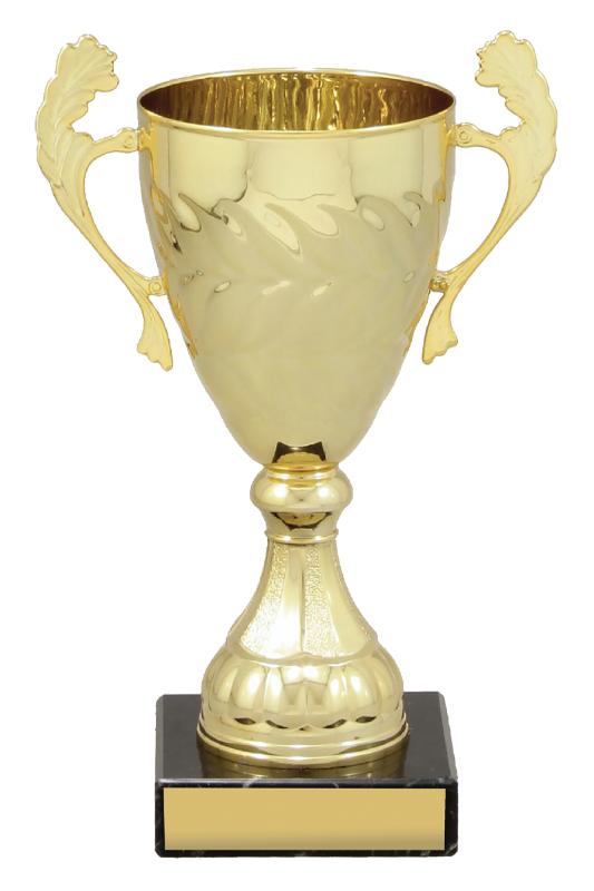 X4827 Gold Eternal Cups 20cm