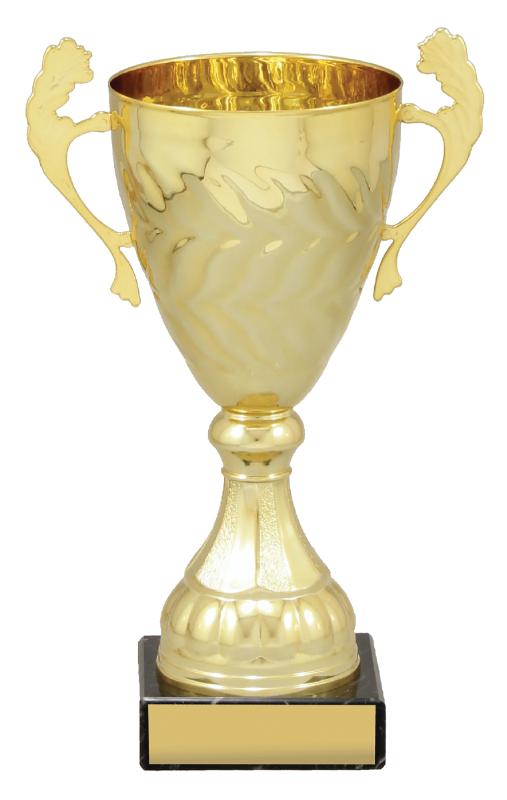 X4828 Gold Eternal Cups 22cm