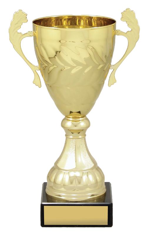 X4829 Gold Eternal Cups 25.5cm
