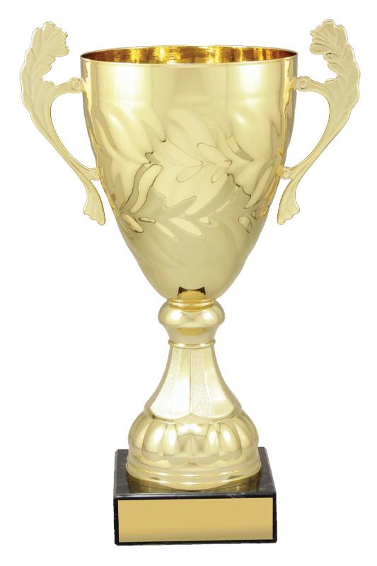 X4832 Gold Eternal Cups 38cm