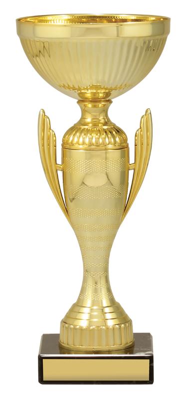 X4834 Guardian Cup 23.5cm
