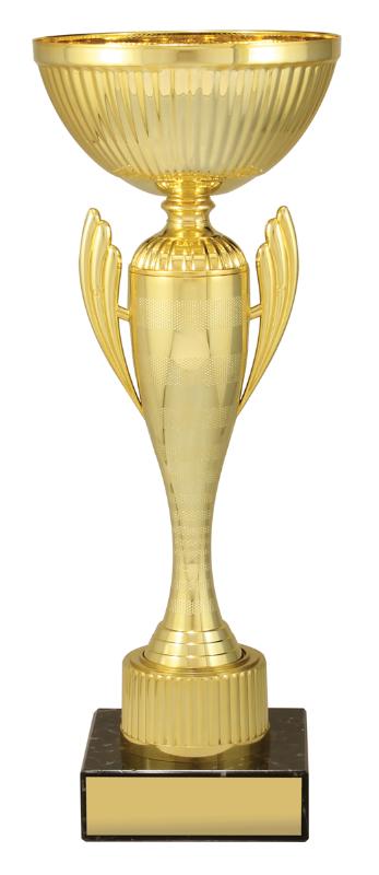 X4838 Guardian Cup 42cm