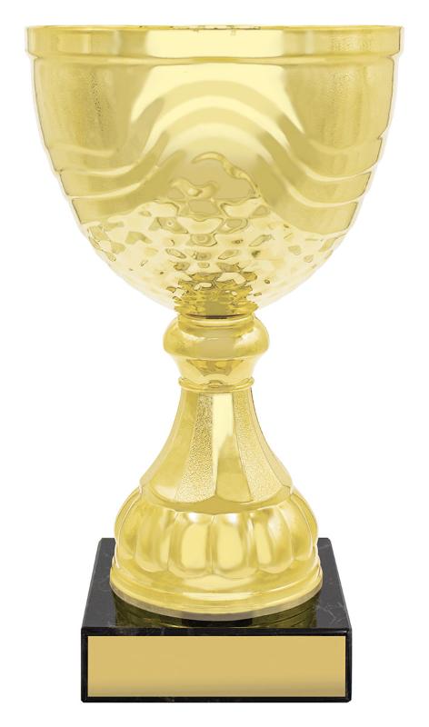 X4845 Community Cup 24.5cm