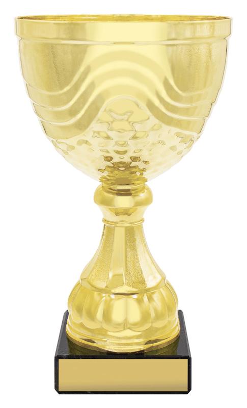 X4846 Community Cup 27.5cm