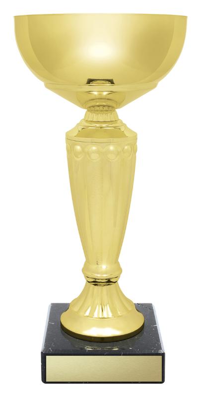 X4850 Geneva Cup 29.5cm