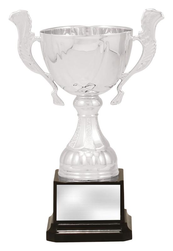 X4881 Silver Turin 20cm