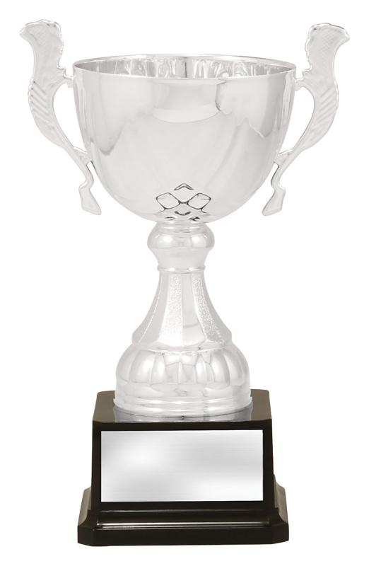 X4882 Silver Turin 23cm