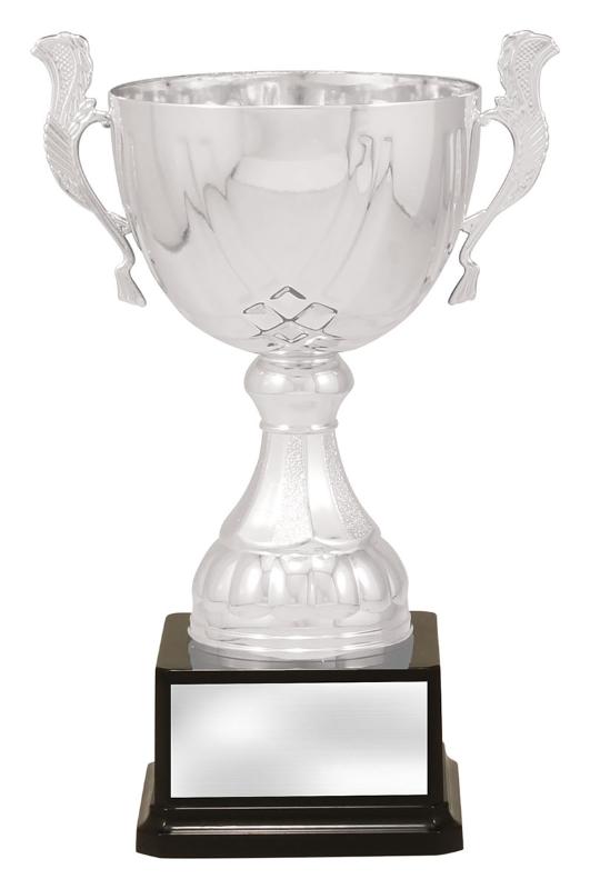 X4883 Silver Turin 26cm