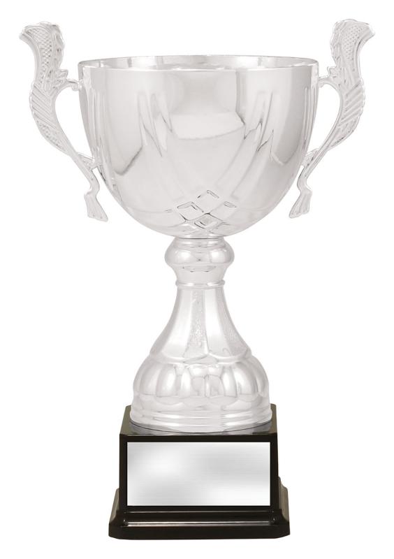 X4884 Silver Turin 29cm
