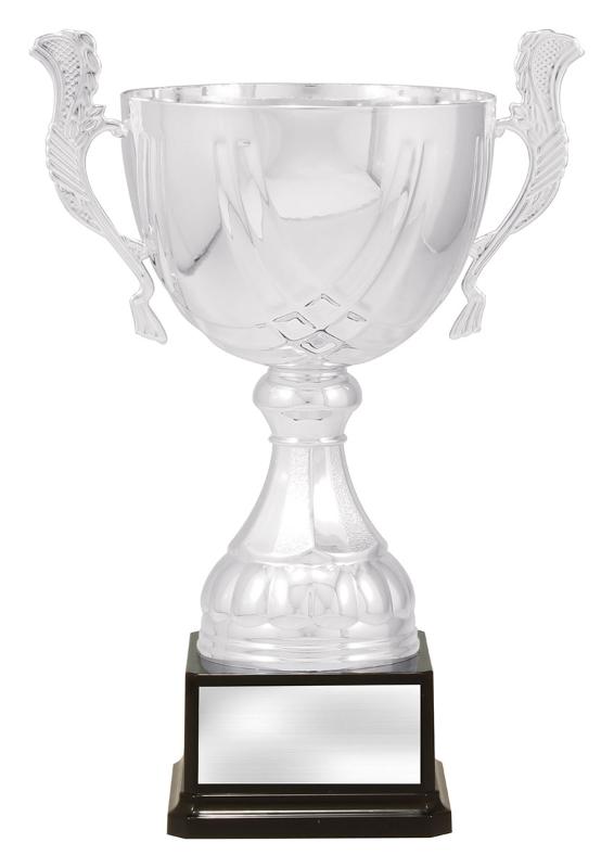 X4885 Silver Turin 33cm