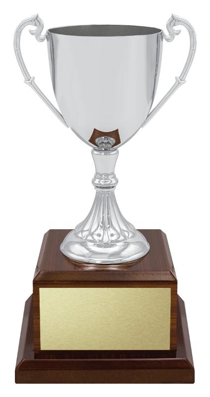 X4915 Classic Nickle Plated 24cm