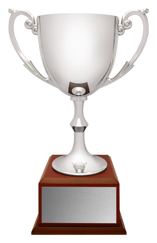 X4923 Recognition Cups 39cm