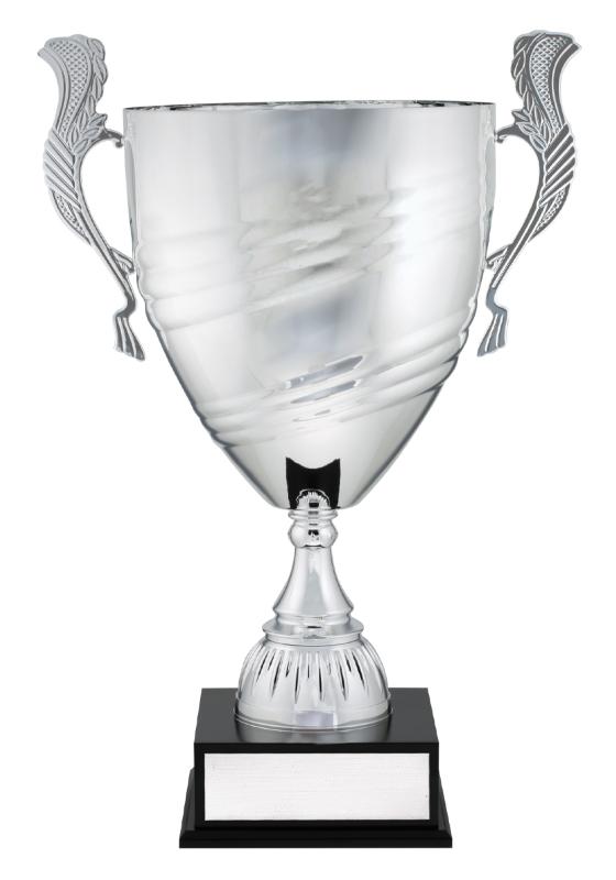 X4945 Prestige Silver - Value 48cm